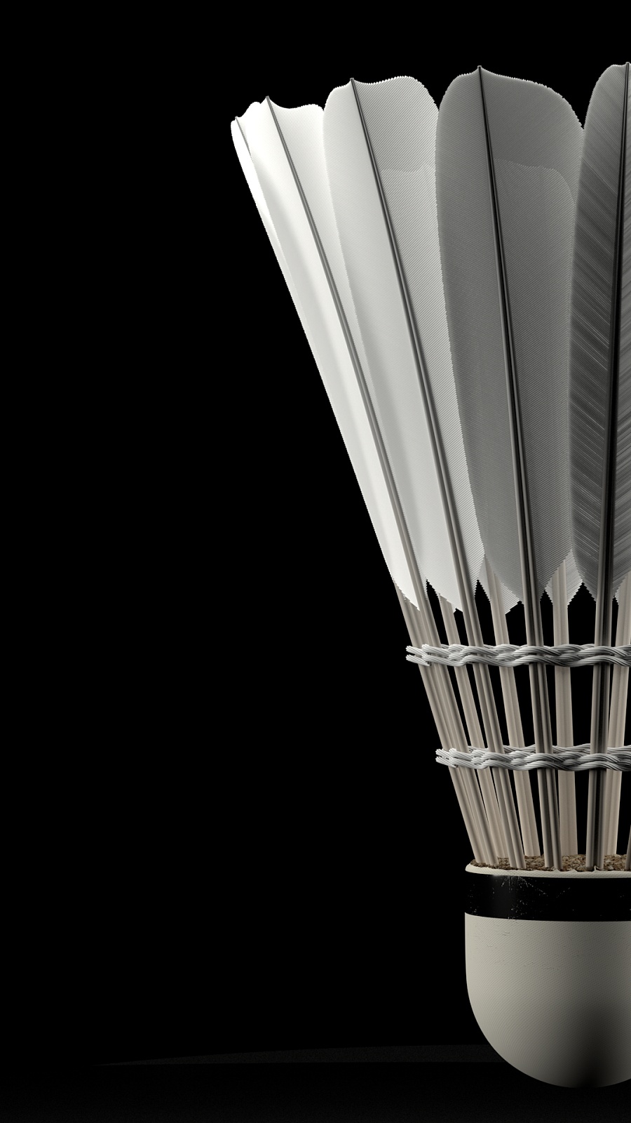 赛场上的参 赛场上的参