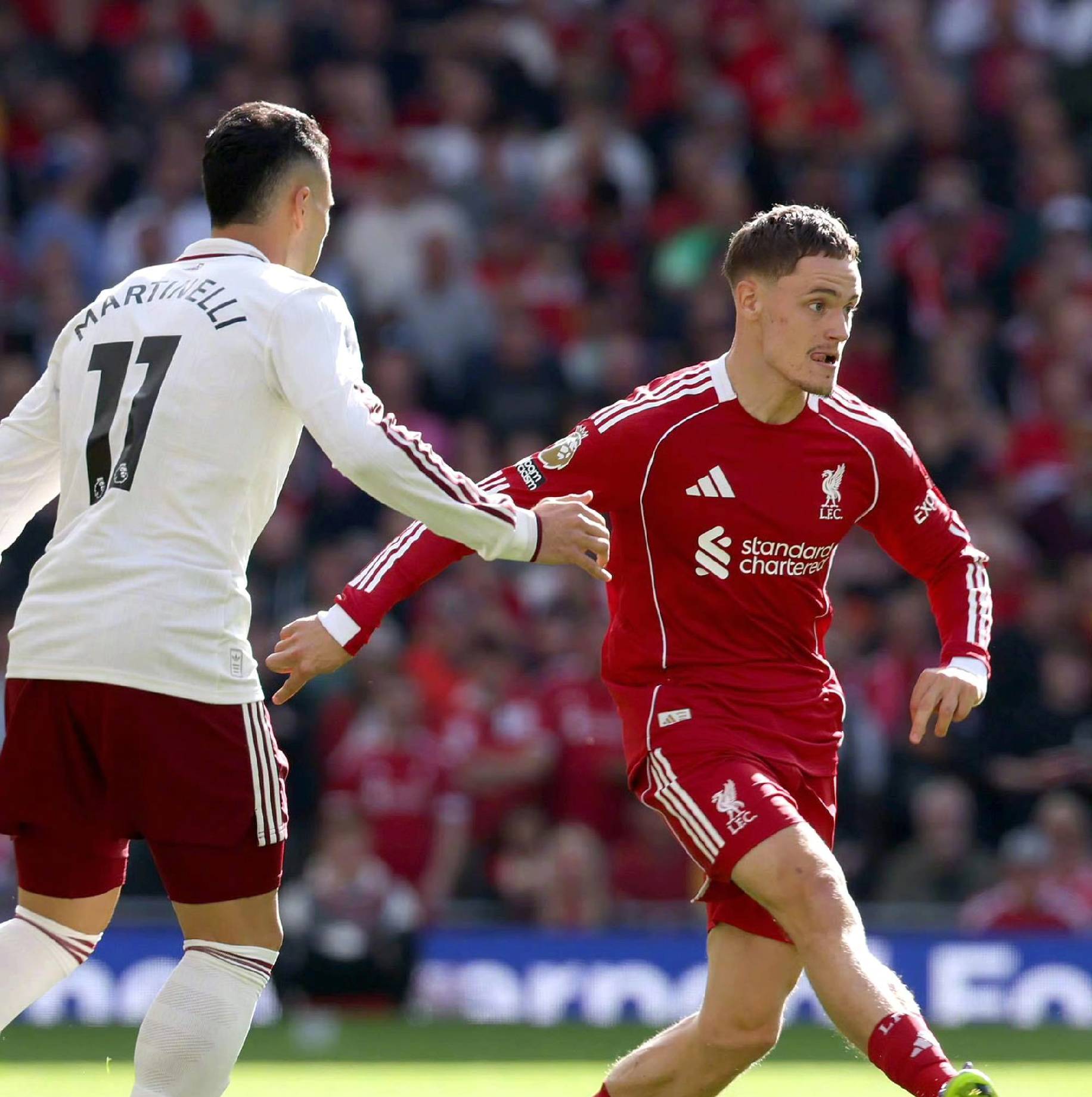 态不仅是对 态不仅是对