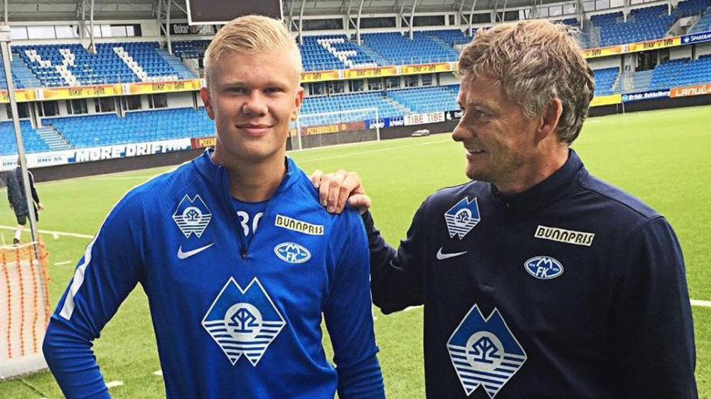 填补本土节 填补本土节